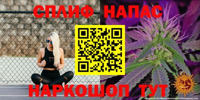 мдпв Будённовск