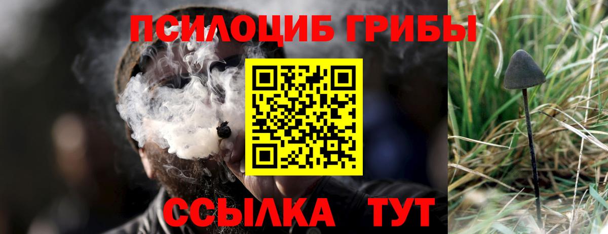 Прокопьевск  купить наркотики цена  Вход с VPN  Псилоцибиновые грибы Cubensis 